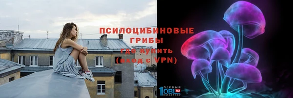 ПСИЛОЦИБИНОВЫЕ ГРИБЫ Богданович