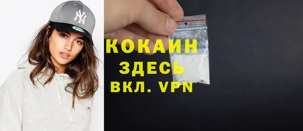 ПСИЛОЦИБИНОВЫЕ ГРИБЫ Богданович