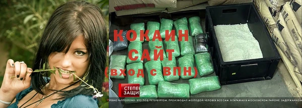 ПСИЛОЦИБИНОВЫЕ ГРИБЫ Богданович